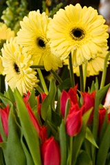 Maigloeckchen_Blumenladen_010
