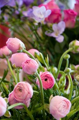 Maigloeckchen_Blumenladen_011