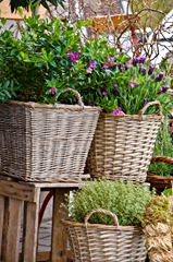 Maigloeckchen_Blumenladen_013