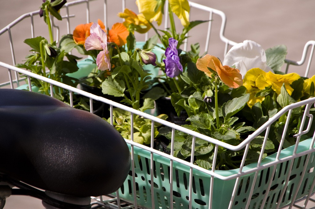 Lieferservice Maigloeckchen Alt-Karow