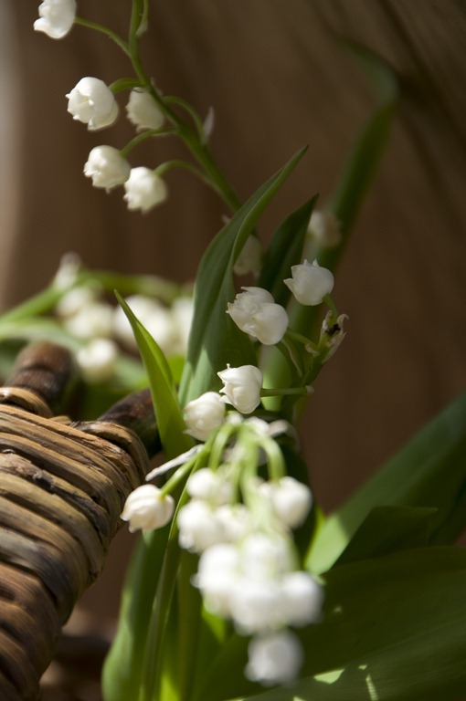 Maigloeckchen Blumenladen